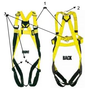 Safety Harness